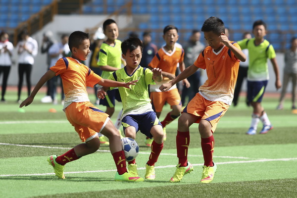 为什么棒球特别适合长期内容创作